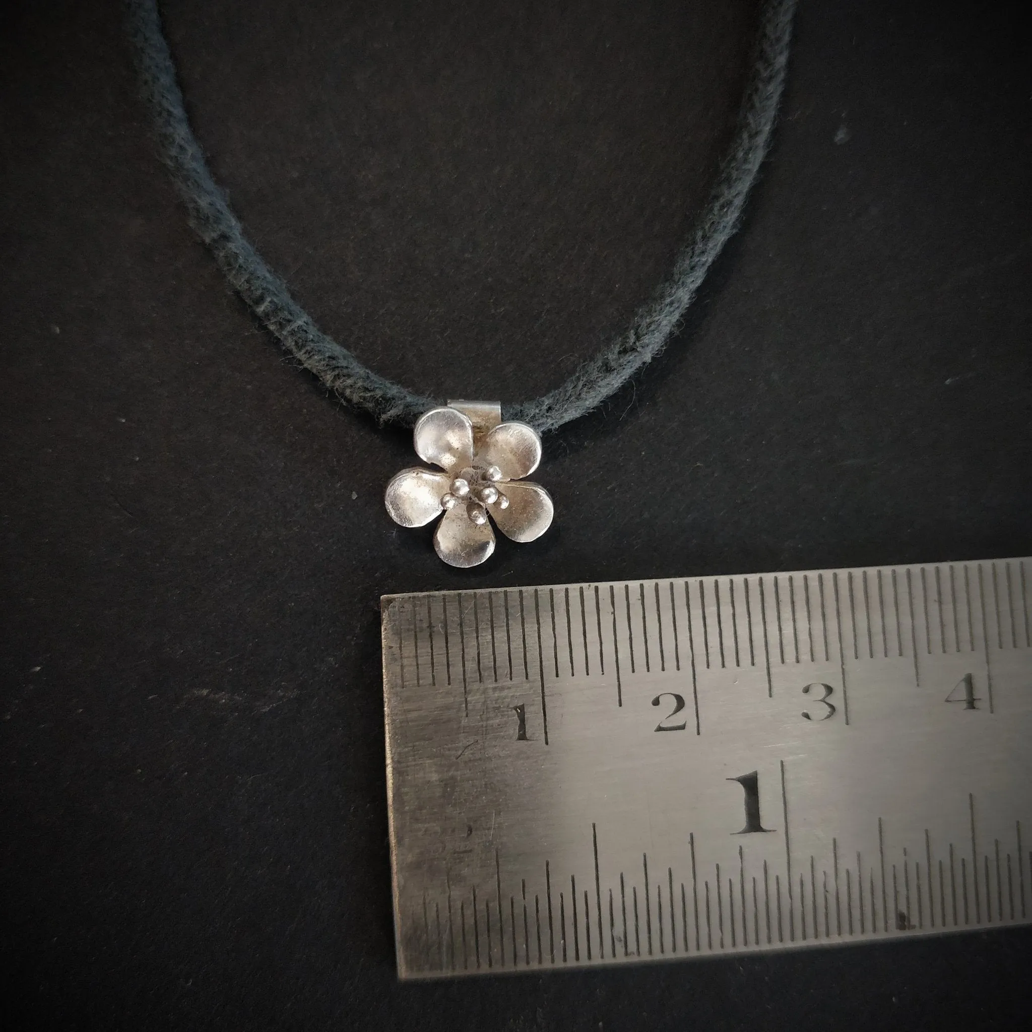 Buttercup Nazarbattu (Nazariya)