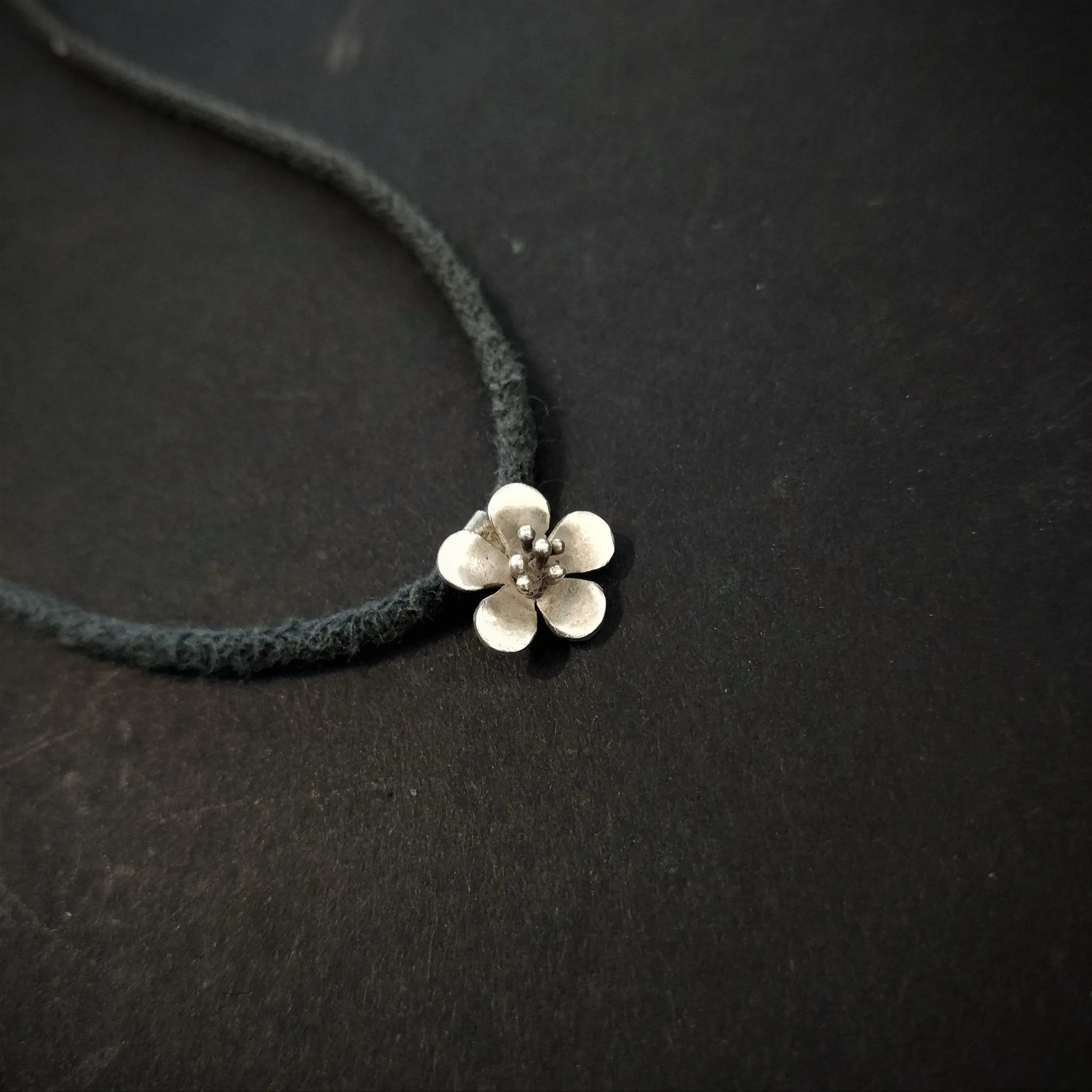 Buttercup Nazarbattu (Nazariya)