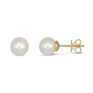 Classic Pearl Stud Earrings | Yellow Gold
