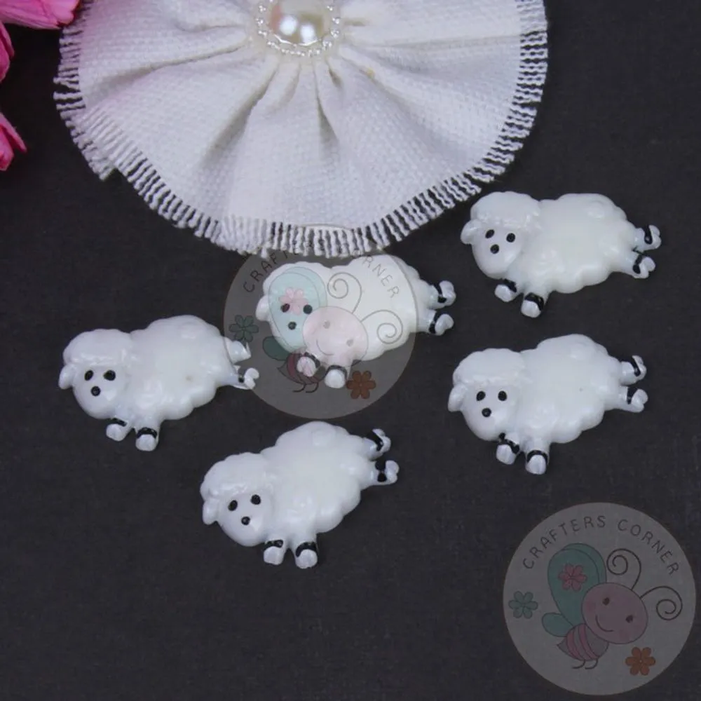 Cute Sheep
