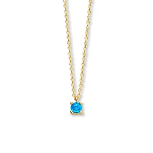 December Birthstone Necklace 14K Yellow Gold
