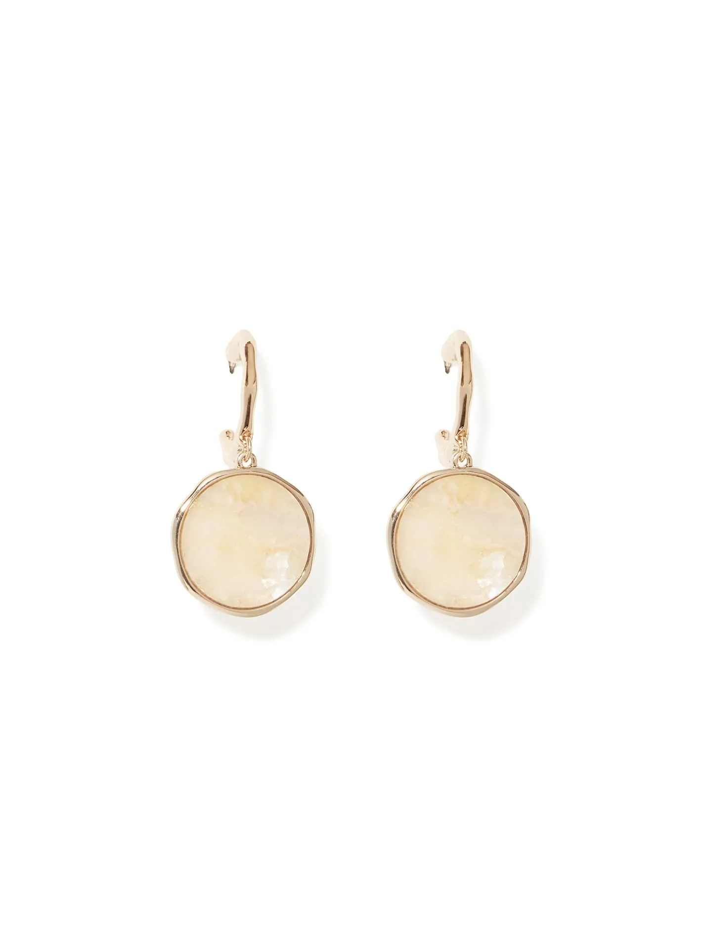 Fleur Stone Drop Hoop Earrings