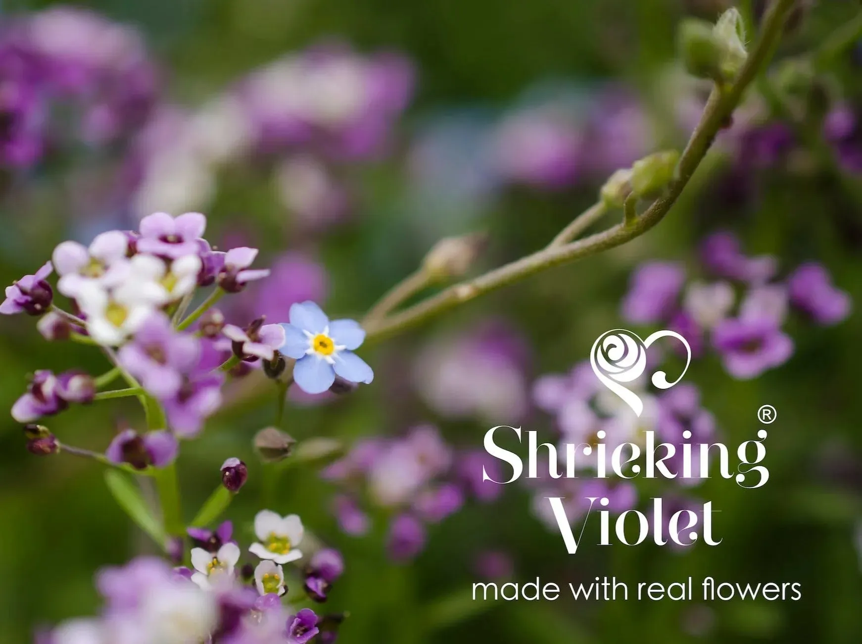Sterling silver stretchy beaded bracelet with tiny purple flowers & forget-me-not